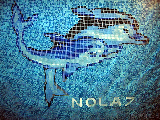 NOLA7 to firma budująca baseny. Jest to więc reklama