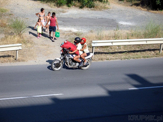 Motocyklista przewozi świnię na motocyklu w Bułgarii (Słoneczny Brzeg). Dziwne ...
