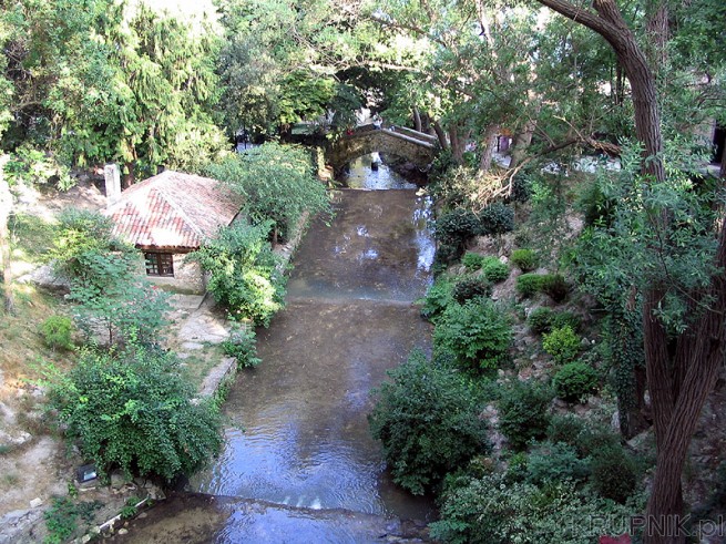 Wodospad w ogrodzie botanicznym