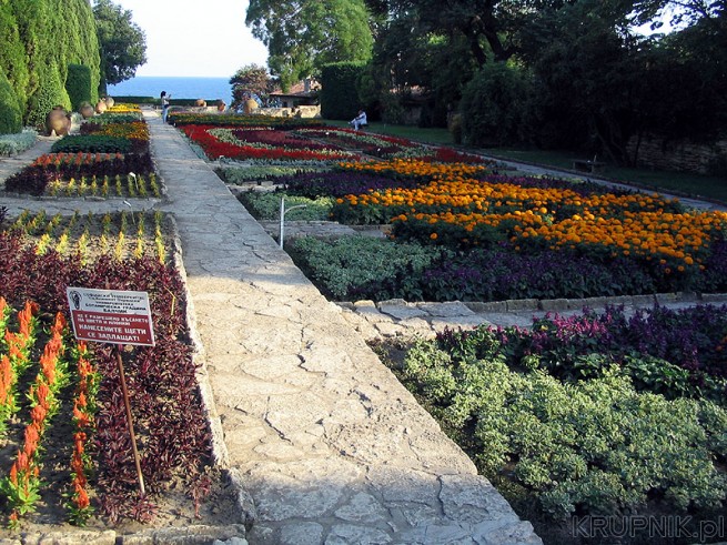 Ogród botaniczny - wakacie w Bułgarii