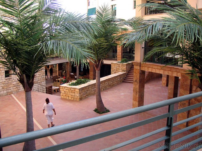 Widok z balkonu i palmy