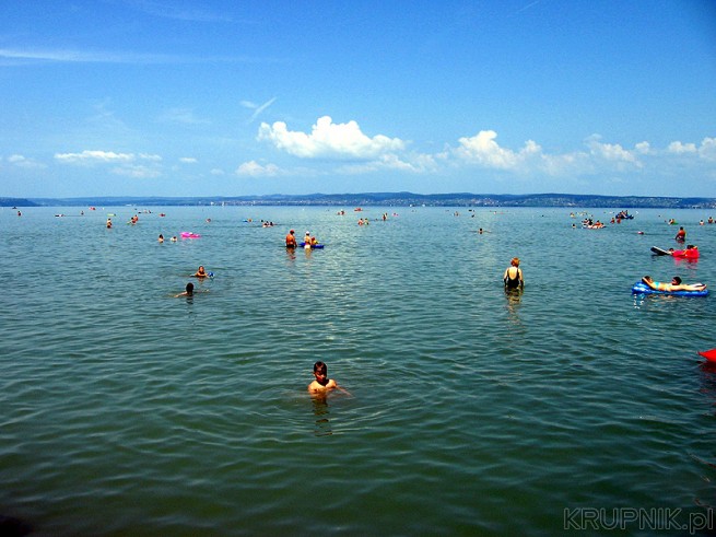 Jezioro Balaton: woda jest płytka i ciepła. Nawet 100m od brzegu można zgruntować. ...